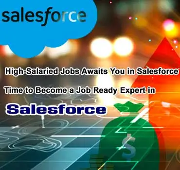 Salesforce Training in Hyderabad
